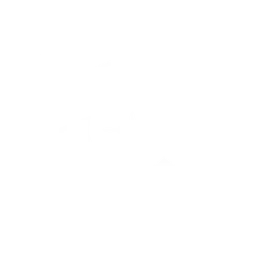 lightbim